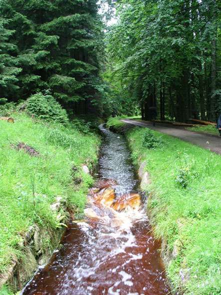 Schwarzenberský plavební kanál.
